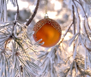 Bombka, Bokeh, Gałęzie, Rozmycie, Ośnieżone