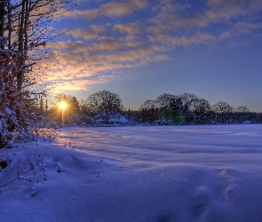 Zima, Słońce, Drzewa, Śnieg
