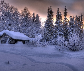 Zima, Drzewa, Śnieg, Dom