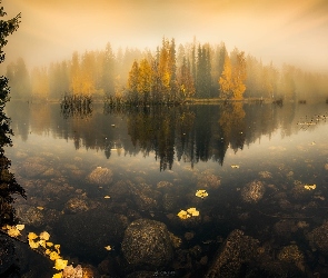 Mgła, Las, Jesień, Jezioro