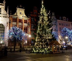 Polska, Gdańsk, Drzewa, Choinka, Świąteczne, Noc