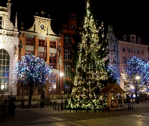 Drzewa, Świąteczne, Gdańsk, Polska, Noc, Choinka