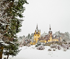Pałac Peles, Castelul Peleş, Zima, Rumunia, Drzewa, Miejscowość Sinaia