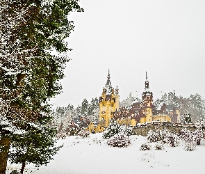 Zima, Drzewa, Castelul Peleş, Pałac Peles, Miejscowość Sinaia, Rumunia