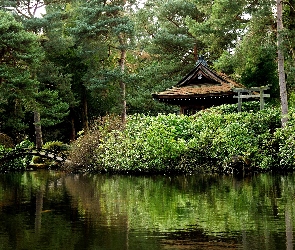 Park, Jezioro