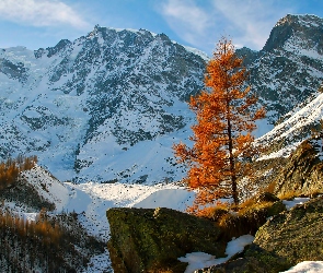 Jesień, Drzewa, Śnieg, Góry, Kamienie, Skały