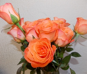 Róże, Bukiet, Pomarańczowe