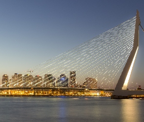 Most, Erasmus Bridge, Holandia, Rotterdam