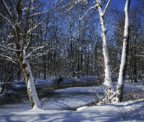 Las, Rzeka, Zima