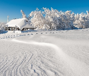 Zima, Śnieg, Niebo, Drzewa, Budynek, Pole