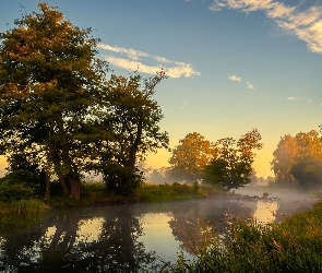 Rzeka, Mgła, Zarośla, Drzewa