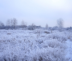 Śnieg, Żima