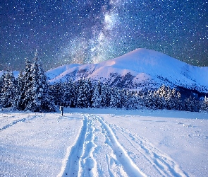 Zima, Padający Śnieg, Drzewa, Góry