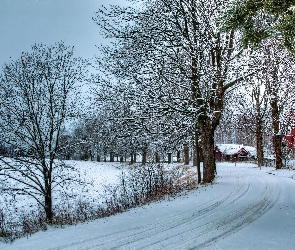 Zima, Domy, Drzewa, Śnieg, Droga