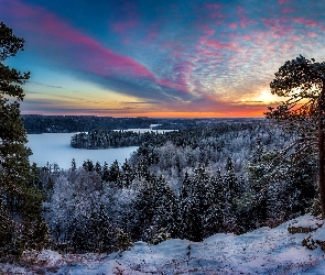 Zima, Drzewa, Słońca, Zachód