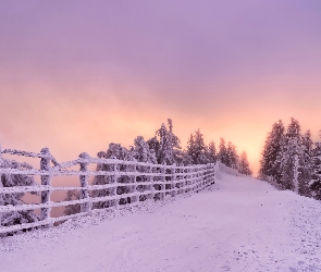 Ogrodzenie, Wschód słońca, Drzewa, Ośnieżone, Zima