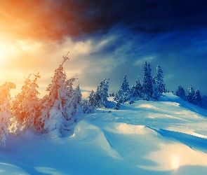 Wzgórza, Zima, Śnieg, Drzewa, Zachód, Słońca, Ośnieżone