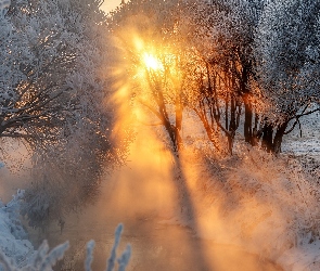 Zima, Promienie słońca, Drzewa, Rzeka, Mgła