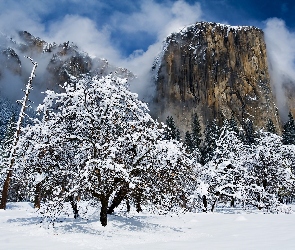 Stany Zjednoczone, Szczyt El Capitan, Park Narodowy Yosemite, Stan Kalifornia