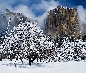Szczyt El Capitan, Park Narodowy Yosemite, Stany Zjednoczone, Stan Kalifornia