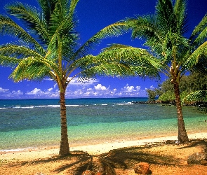 Laguna, Hawaje, Tropikalna
