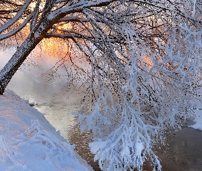 Rzeka, Drzewo, Zima
