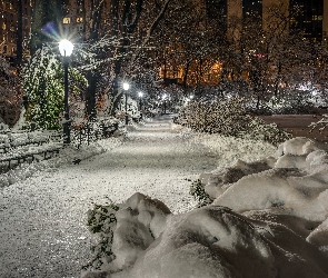 Central Park, USA, Zima, Nowy Jork