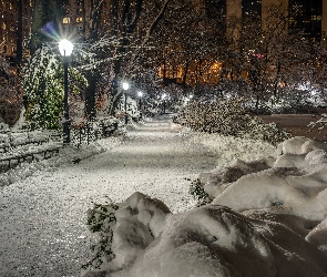 USA, Zima, Central Park, Nowy Jork