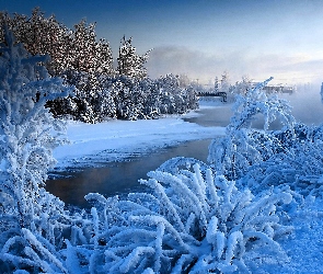 Zima, Mostek, Las, Rzeka
