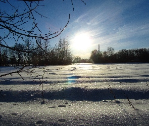 Pole, Słońce, Drzewa, Śnieg