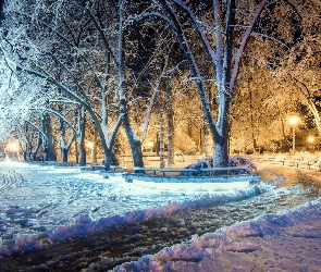 Drzewa, Zima, Latarnie, Alejki, Park