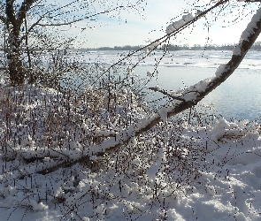 Rzeka, Drzewa, Zima