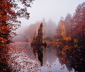 Jesień, Mgła, Most, Las, Rzeka