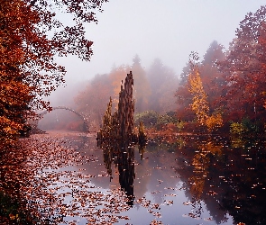 Rzeka, Mgła, Las, Most, Jesień