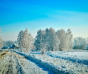 Wioska, Zima, Drzewa, Omrożone, Droga