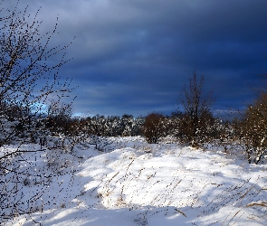 Chmury, Ciemne, Śnieg, Zima, Drzewa, Gałęzie