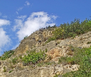 Roślinność, Niebo, Skały
