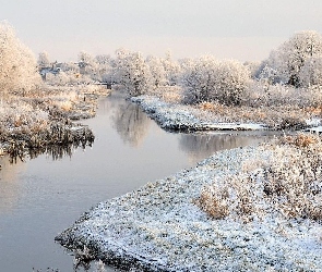 Rzeka, Drzewa, Zima