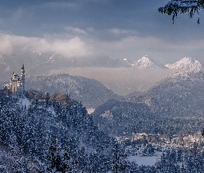 Bawaria, Drzewa, Skały, Zamek Neuschwanstein, Niemcy