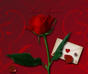 Róża czerwona, Koperta z sercem, Płatki róży