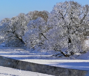 Rzeka, Drzewa, Zima