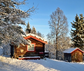 Drzewa, Zima, Góry, Las, Dom