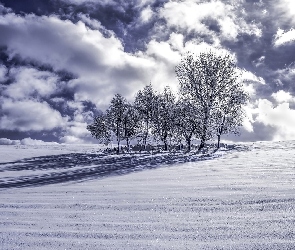 Śnieg, Chmury, Zima, Drzewa