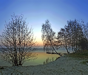 Ławka, Pomost, Wschód, Jezioro, Słońca, Drzewa