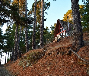 Domek letniskowy, Skarpa, Droga, Las