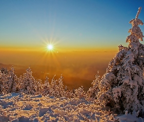 Wschód słońca, Śnieg, Wzgórza, Zima, Ośnieżone, Drzewa