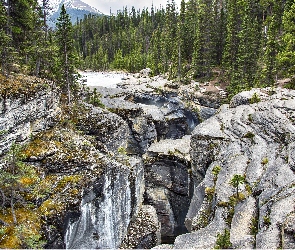 Mistaya Canyon, Las, Prowincja Alberta, Rzeka, Góry, Kanada, Park Narodowy Banff