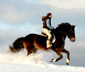 Koń, Zima, Kobieta
