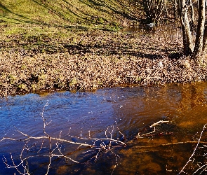 Wzgórze, Drzewa, Strumyk, Gałęzie