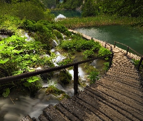 Kładka, Jeziora, Park Narodowy Plitvice, Chorwacja